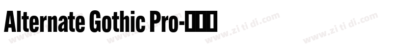 Alternate Gothic Pro字体转换